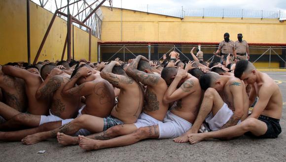 Fotografía divulgada por el secretario de prensa de la Presidencia de El Salvador el 28 de marzo de 2022 que muestra a miembros de las pandillas Mara Salvatrucha y Barrio 18 bajo custodia en el penal de Ciudad Barrios. (AFP).