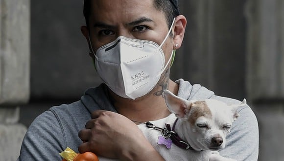 La pandemia no sólo afecta al ser humano, también a los perros. (Foto: AFP)