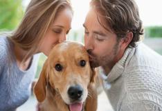 ¿Tener una mascota con tu pareja fortalece la relación?