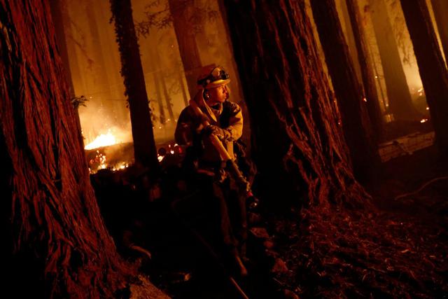 El bombero de Cal Fire, Anthony Quiroz, lleva una manguera mientras defiende una casa durante el incendio del complejo CZU Lightning Complex en Boulder Creek, California. (REUTERS/Stephen Lam).