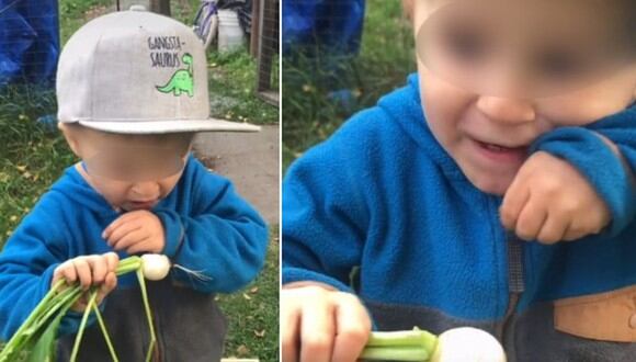 Jack es un niño que ha llamado la atención en Internet por su amor a las verduras. (Foto: @trentsven / TikTok)