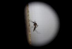EEUU: Texas confirma primer caso del zika por transmisión sexual 