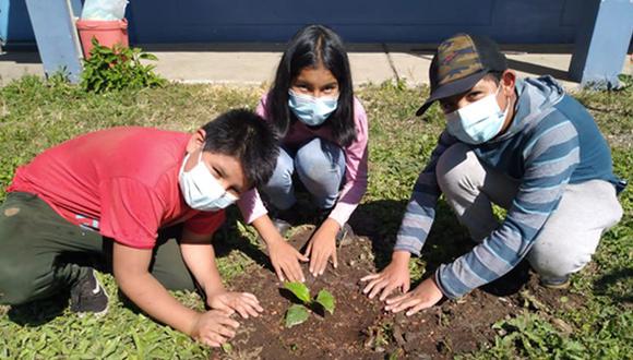 Los niños protectores del árbol de la Quina. Estudiantes de la Institución Educativa N° 50275 de Huyro; La Convención, Cusco.