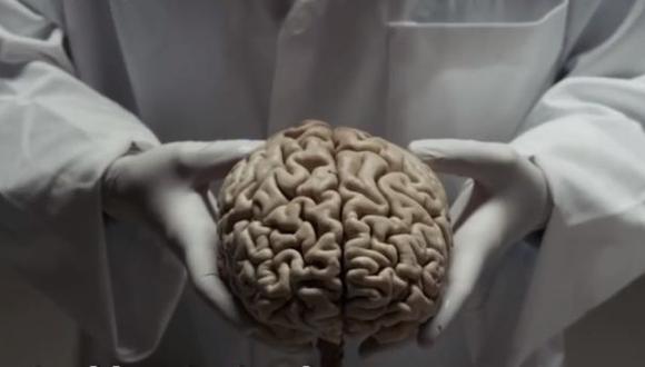 El cerebro humano por dentro y que es capaz de hacer [VIDEO]