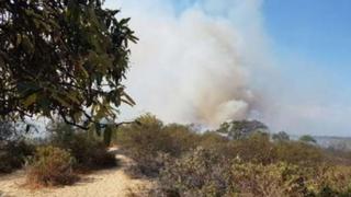 Piura: incendio forestal afecta 10 hectáreas en la provincia deMorropón