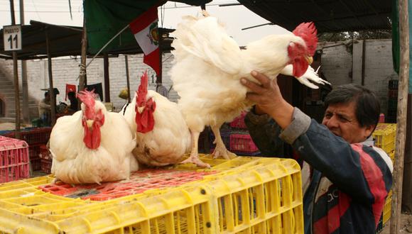 Para el líder del gremio, el sector avícola ha crecido a “ritmos importantes” en los últimos 10 años, con cifras que oscilan entre 7 y 8%. (Foto: Difusión)