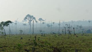 ¿Por qué la reducción de la deforestación en la Amazonía peruana no es del todo una buena noticia?