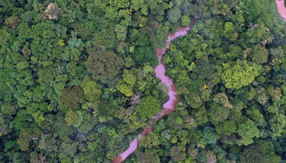 Arroyo en la selva amazónica. Imagen de Rhett A. Butler