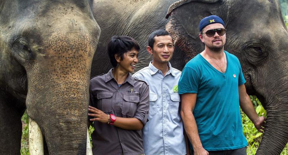 El actor comparti&oacute; en su cuenta de Instagram una imagen del incre&iacute;ble momento que vivi&oacute; junto a unos elefantes. (Foto: EFE)