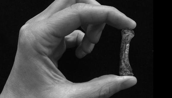 Antepasados primates usaban la mano como el hombre moderno