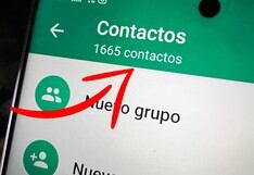 WhatsApp: ¿para qué sirven las tarjetas de contacto y cómo crear una?