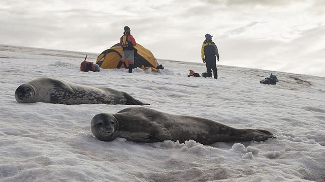 El histórico recorrido en kayak a unas remotas islas antárticas - 11