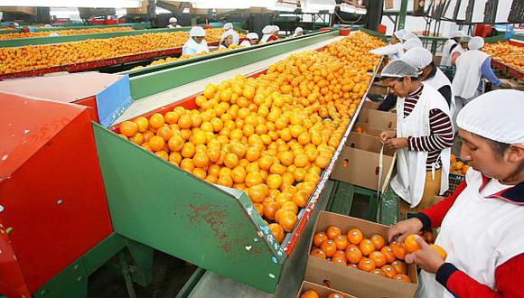 OMC acuerda eliminar distorsiones en mercado agrícola mundial