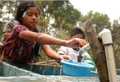 Sedapal no “prevé incremento tarifario del agua” en lo que resta de 2024