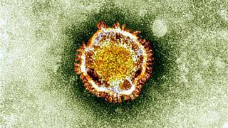 OMS pone en alerta a hospitales de todo el mundo por nuevo virus surgido en China
