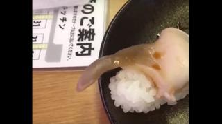 YouTube: Fue a comer sushi y el pescado estaba vivo [VIDEO]
