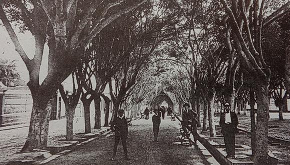 Imagen de una antigua alameda José Pardo en Miraflores, una de las arterias más tradicionales de Miraflores, que empezó su proceso modernizador hacia mediados de la década de 1920.  (Foto: GEC Archivo Histórico)
