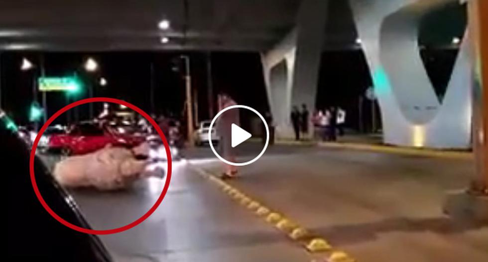 YouTube nos trae el video de una pobre estatua de un león que fue atropellada por un carro a toda velocidad. (Foto: captura)
