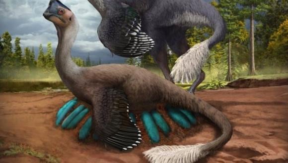 Descubren el primer fósil de un dinosaurio sentado en su nido de huevos |  TECNOLOGIA | EL COMERCIO PERÚ