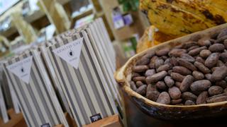 Cacao del VRAEM será vendido a otros países durante feria | FOTOS