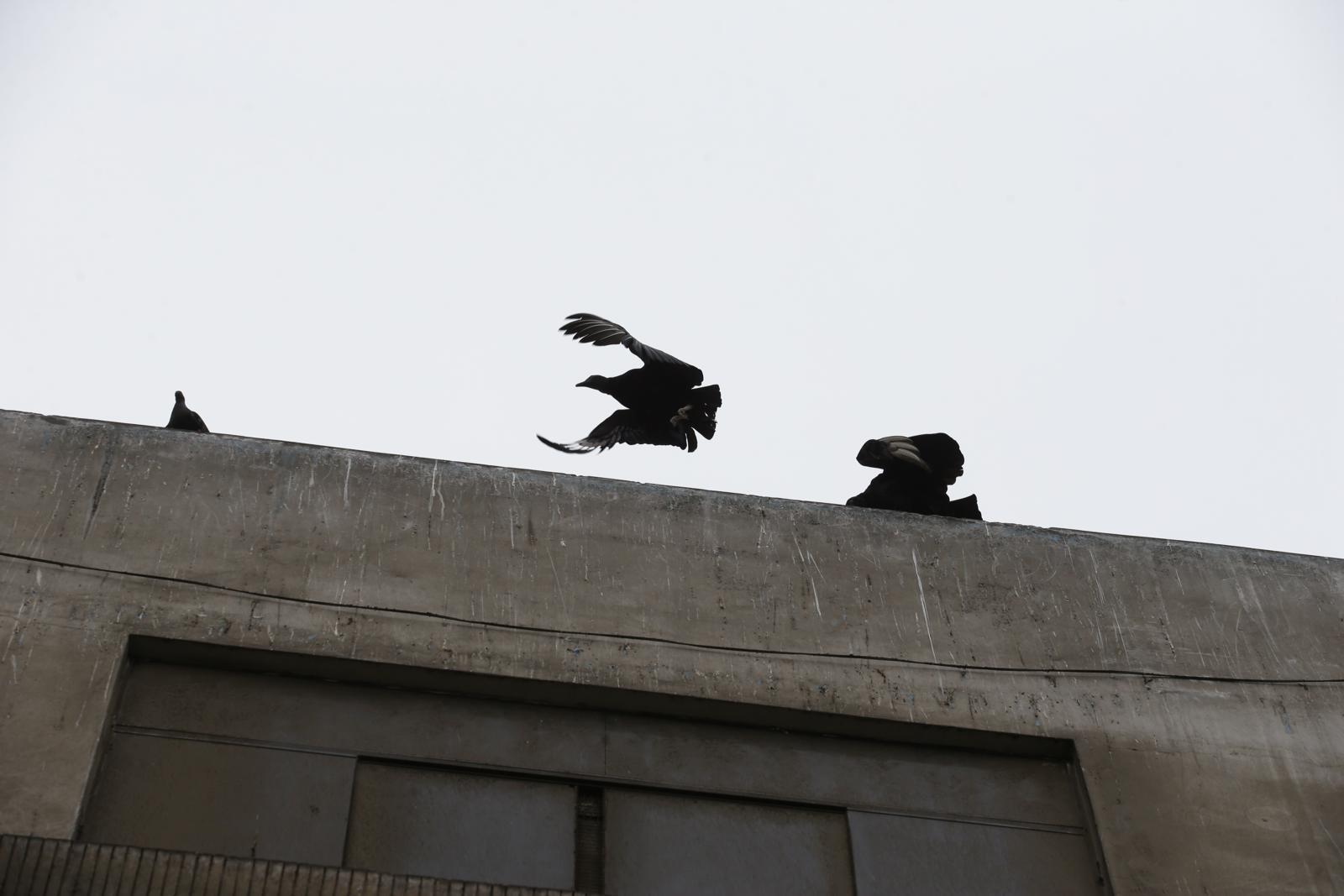 En el Rímac se recogen 200 toneladas de basura al día. Aún así existen 7 puntos críticos de acumulación de la basura, de acuerdo con la OEFA. (Foto: Jesús Saucedo/El Comercio).