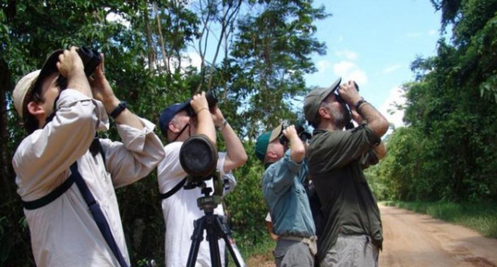 Perú lidera avistamiento de aves en la región. (Foto: Difusión)