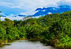 Bosque de Protección Alto Mayo, punto para el avistamiento de aves y de atracción para el turismo