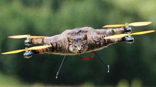 El hombre que convirtió a su gato mascota en un drone