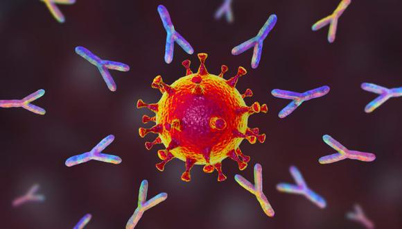 Coronavirus | Descubren anticuerpos que bloquean infección del COVID-19 en  las células | SARS-CoV-2 | Nature Communications | | TECNOLOGIA | EL  COMERCIO PERÚ
