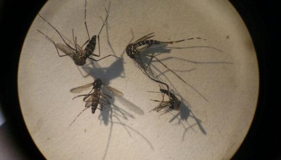 Alerta en Panamá por el primer caso autóctono de chikunguña