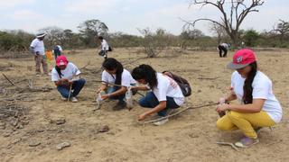 Lambayeque: universitarios reforestan el Bosque de Pómac