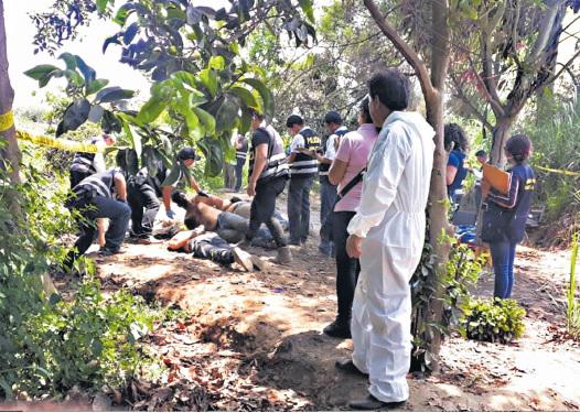 La escena era macabra: se encontraron los cinco cuerpos maniatados y con todos los orificios de bala en la cabeza, cerca de una chacra (Foto: PNP)