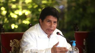 Pedro Castillo: Subcomisión del Congreso seguirá analizando denuncia contra presidente este lunes 1 de agosto