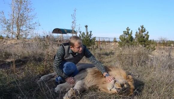 El león permanece inmóvil mientras su dueño se acerca a él.(Foto: Captura de Youtube)