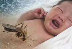 Presencia de Zika en suero materno indica infección del feto, según estudio