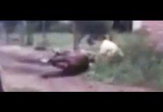 YouTube: "Domador" violento de caballos genera indignación (VIDEO)
