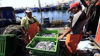 Produce: finalizó la primera temporada de pesca de anchoveta