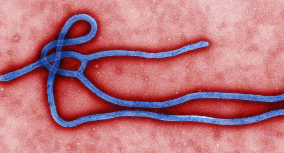 El virus del ébola es transmitido a través de los fluidos. (Foto: theglobalpanorama/Flickr)