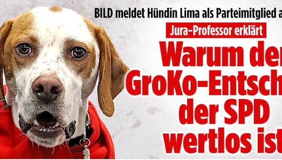 Alemania: El diario "Bild" logra inscribir una perra como militante del SPD.