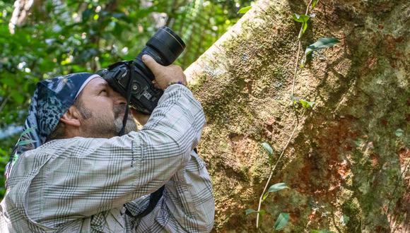 A través de estas charlas, se busca dar a conocer de manera visual, científica y artística la enorme riqueza biológica y la importancia del ecosistema amazónico. (Foto: Difusión)