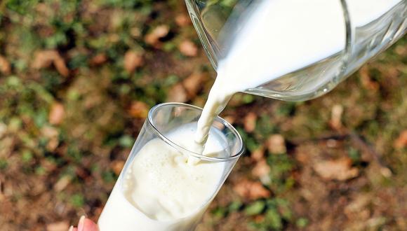 La leche brinda muchos beneficios. (Foto: pixabay)