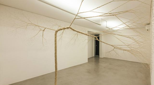 Artistas transforman simples sogas en árboles de fantasía - 1