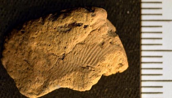 La huella digital del alfarero neolítico en un fragmento de cerámica recuperado en el Ness de Brodgar.  (BLATCHFORD)