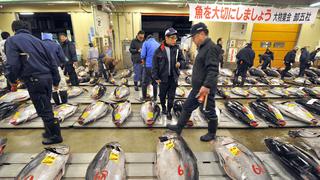 Se cerrarán las puertas del mercado de pescado más grande del mundo [FOTOS]
