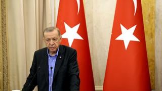 Erdogan propone a Putin una mediación de Turquía en la planta nuclear de Zaporizhzhia