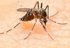 Perú detecta brote de 23 casos de zika en distrito de Comas, Lima