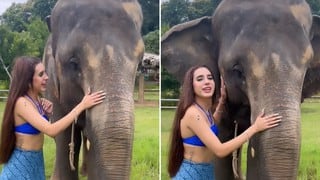 El incómodo momento que pasó Domelipa cuando intentó acariciar a elefante en su visita a Tailandia