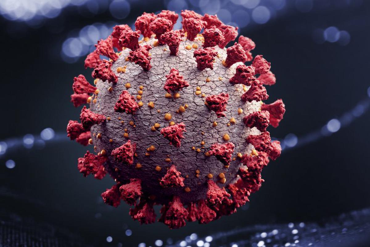 B.1.1.529 | Variante Ómicron del coronavirus: ¿qué síntomas genera y qué  tan contagiosa es? | TECNOLOGIA | EL COMERCIO PERÚ