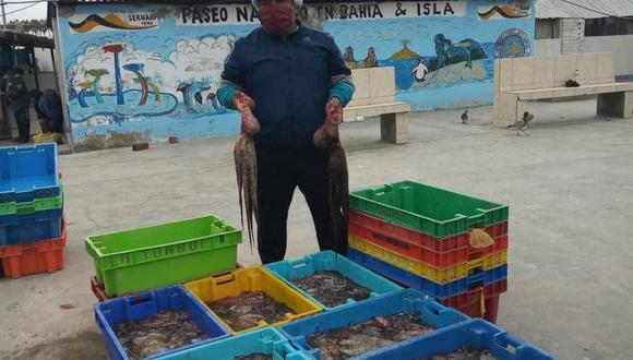 Los precios de pescados han subido en las últimas semanas. (Foto: Aemapsa)