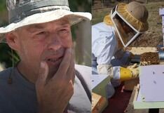 El caso del hombre que sufrió 250 picaduras de abejas y logró sobrevivir